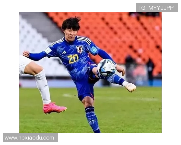 上海网球队在世界杯积分榜上以86分稳居第一名引发关注